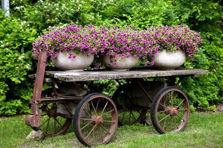 Flowers Deck the Old Train Cart