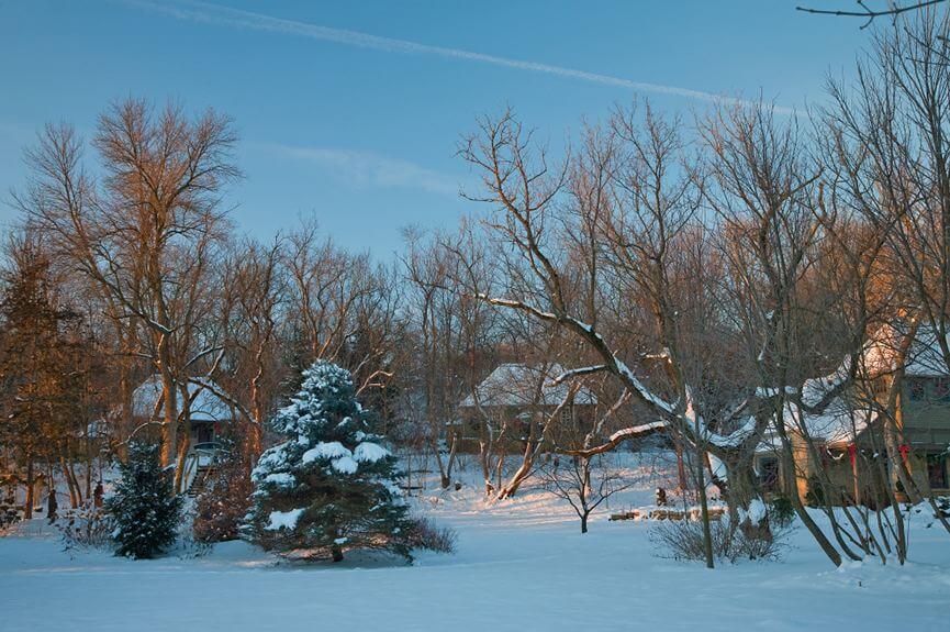 The Inn's Front Yard in Winter