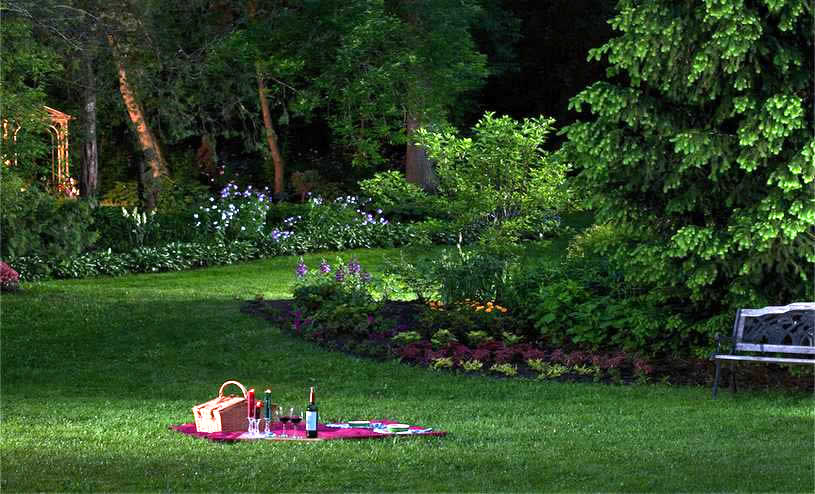 Wine and Cheese on the Lawn