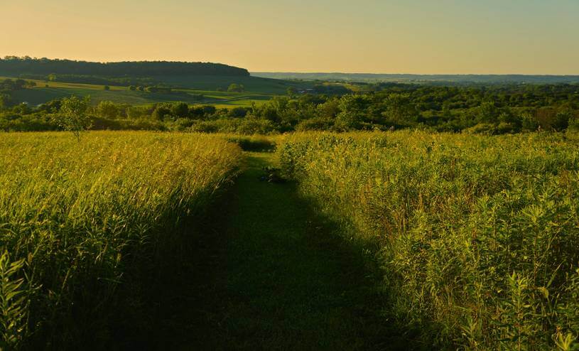 Ridge Top Path