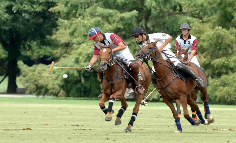 Autumn Polo Match