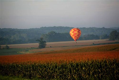 Balloons Fly Over Autumn Fields
