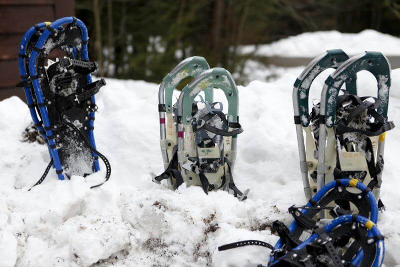 We Have the Snowshoes!