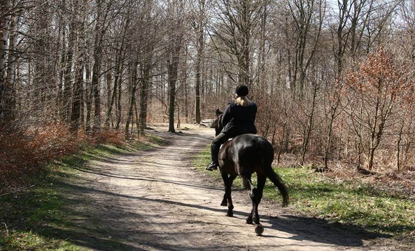 Horsebacking on a Crisp Fall Afternoon