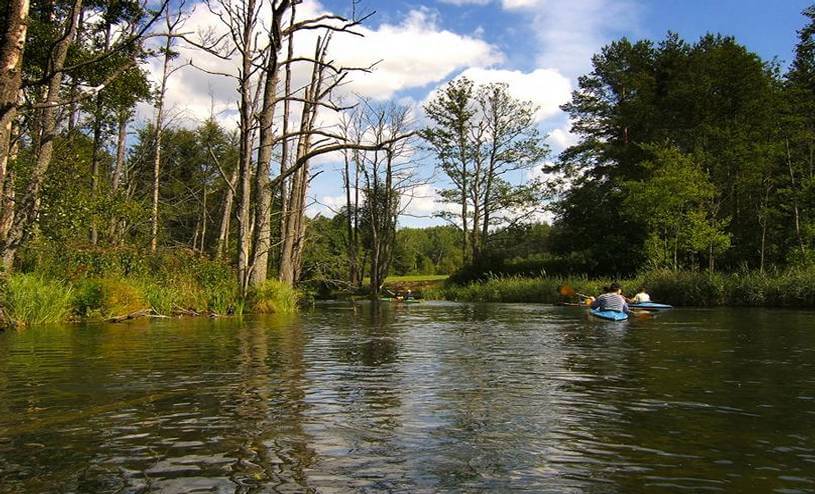 Pristine Waters of the Galena River