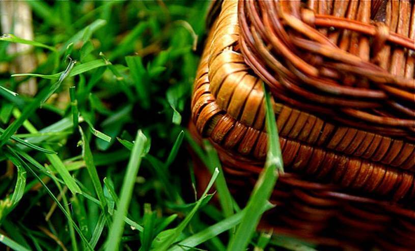 Enjoy a Picnic Lunch along the Irish Hollow Creek