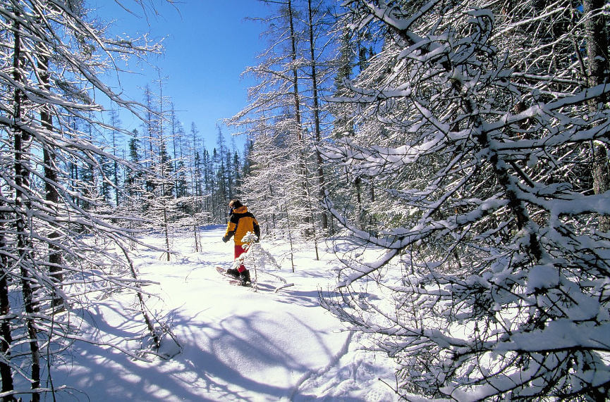 Snowshoe the Cross Country Ski Trails