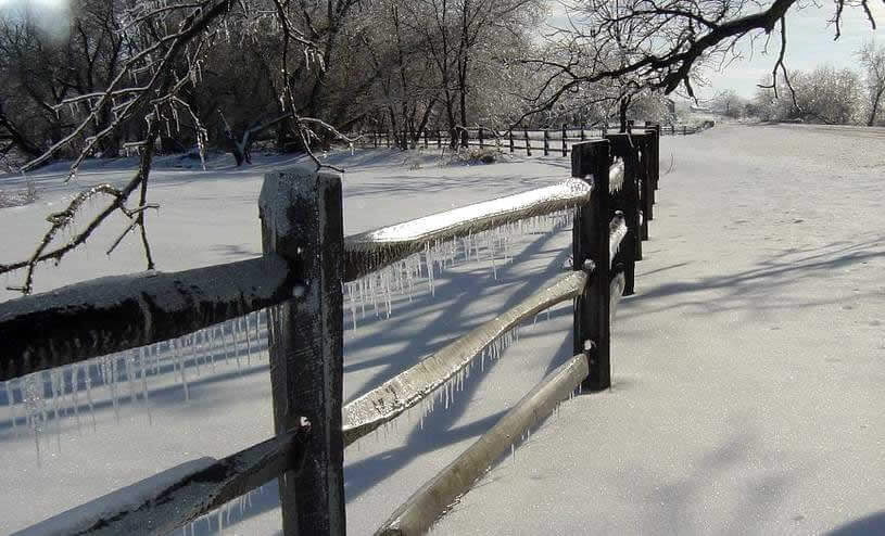 A Snow Blanket on the Pasture